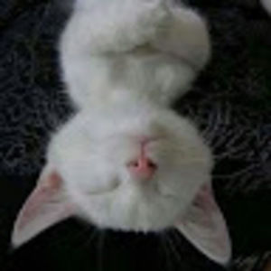 Meet your Posher, Kristy